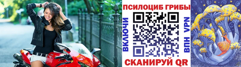 магазин продажи наркотиков  mega рабочий сайт  Псилоцибиновые грибы ЛСД  Богородицк 