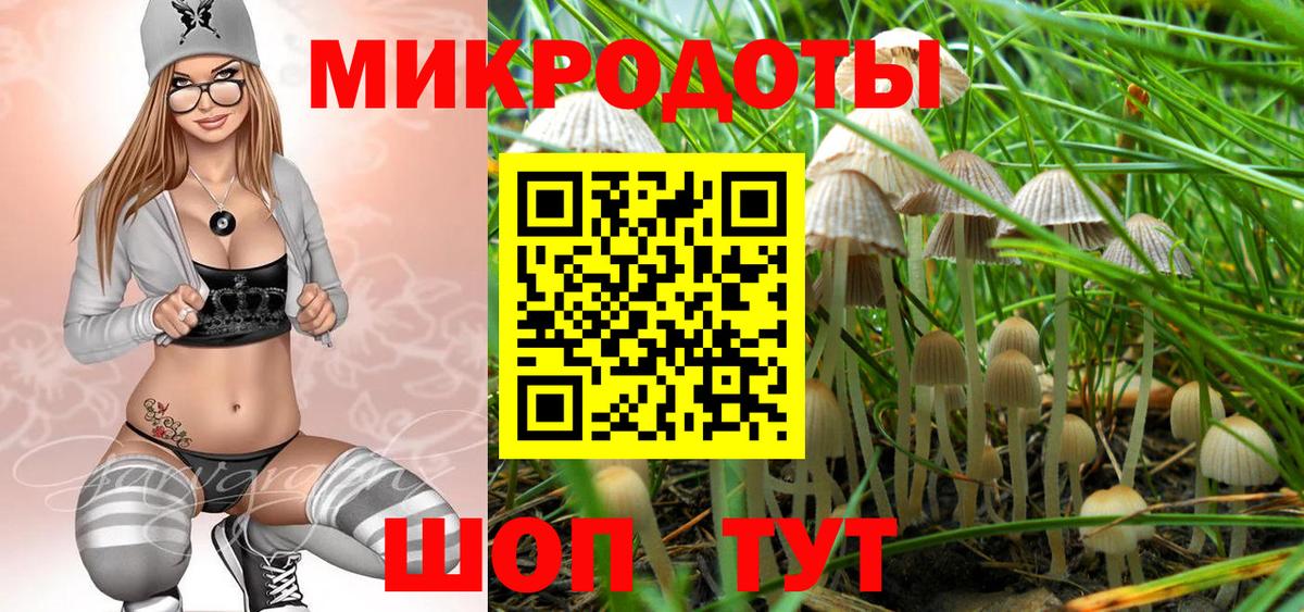Галлюциногенные грибы GOLDEN TEACHER  купить   Вход с VPN  Богородицк  Галлюциногенные грибы мицелий 