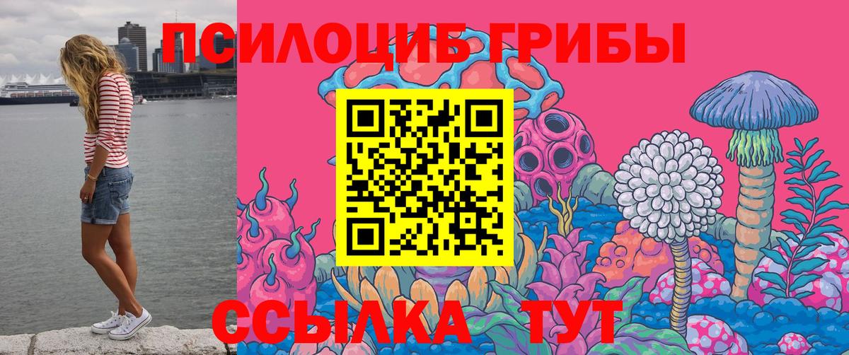 Галлюциногенные грибы MAGIC MUSHROOMS Богородицк